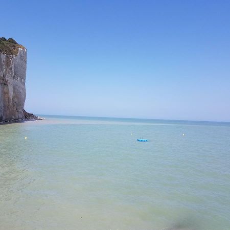 ホテル Camping L'Oiseau Blanc Sassetot-le-Mauconduit エクステリア 写真